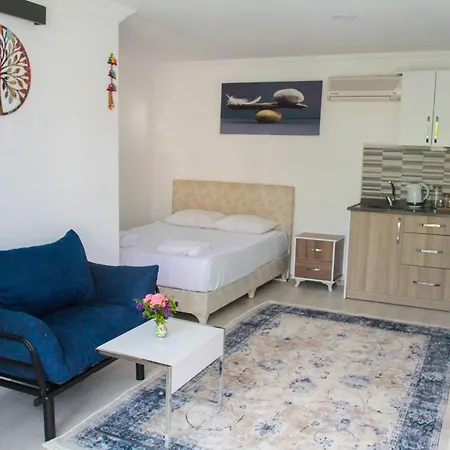 מלון דירות Hillside 3*